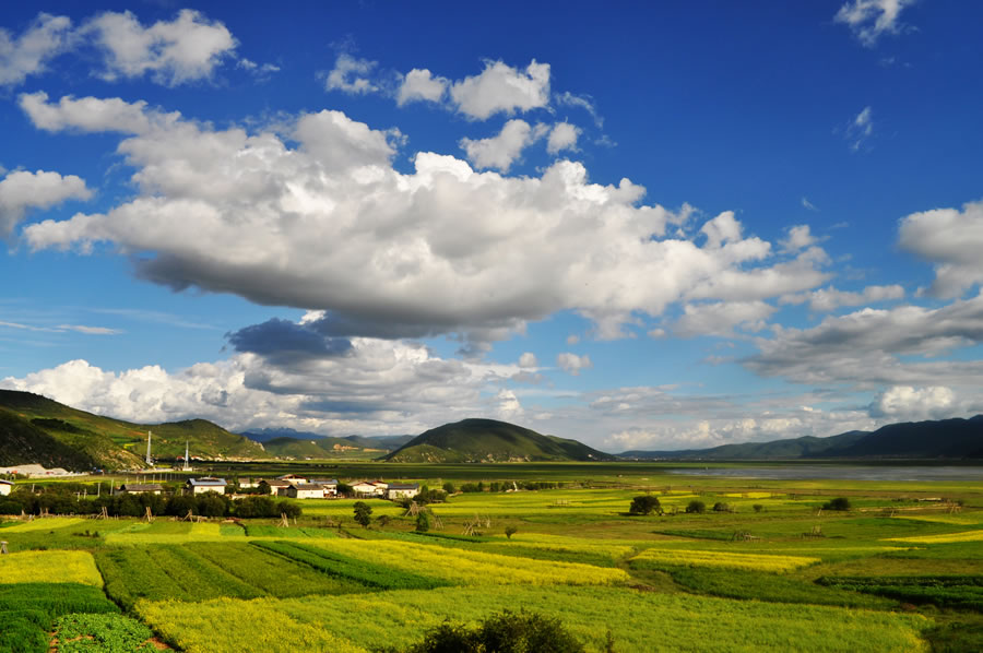 在灿烂阳光下 2012年7月25日 云南·香格里拉 李姝杰	在灿烂阳光下，静谧的村庄和农田