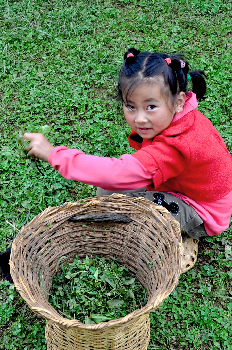 她的暑假-李姝杰 2012-7-20 云南·泸沽湖 十三岁的摩梭族小姑娘，在她第一个暑假每天都需要干的农活，在绵绵细雨下打猪草